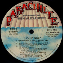 Load image into Gallery viewer, Liquid Gold : Liquid Gold (LP, Album, Promo)