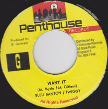 Load image into Gallery viewer, Buju Banton / Twiggy : Want It (7")