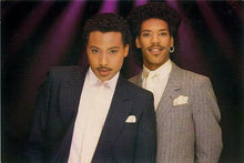 Load image into Gallery viewer, Centerfold (3) : Party Rebels (7&quot;, Single, Promo)