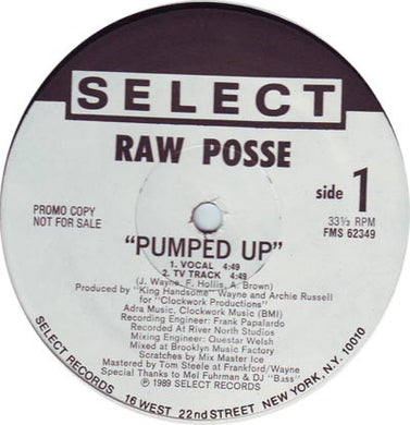 Raw Posse : Pumped Up (12