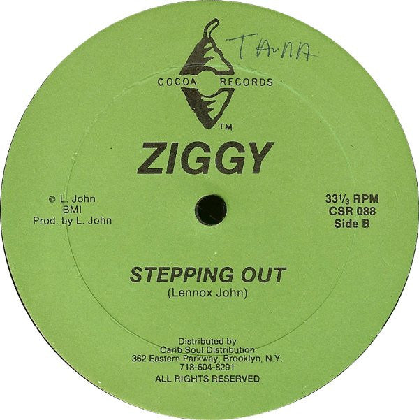 Ziggy (23) : Ouch / Stepping Out (12