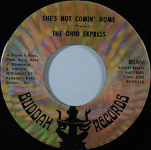 Load image into Gallery viewer, Ohio Express : Down At Lulu&#39;s / She&#39;s Not Comin&#39; Home (7&quot;, Single, ARP)