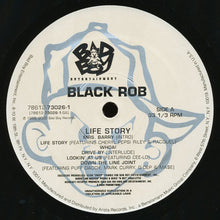 Load image into Gallery viewer, Black Rob : Life Story (2xLP, Album)