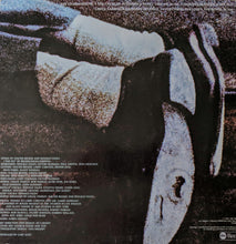 Load image into Gallery viewer, Steely Dan : The Royal Scam (LP, Album, Ter)
