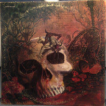 Load image into Gallery viewer, Savoy Brown : Looking In (LP, Album, TH)