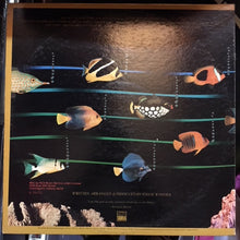 Load image into Gallery viewer, Stevie Wonder : Stevie Wonder&#39;s Original Musiquarium 1 (2xLP, Comp, Club)