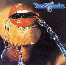 Load image into Gallery viewer, Breakwater : Breakwater (LP, Album, Pit)