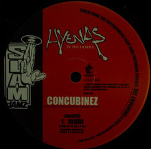 Load image into Gallery viewer, Hyenas In The Desert : Concubinez (12&quot;, Promo)