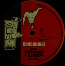 Load image into Gallery viewer, Hyenas In The Desert : Concubinez (12&quot;, Promo)