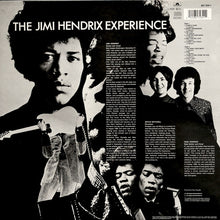 Load image into Gallery viewer, The Jimi Hendrix Experience : Are You Experienced (LP, Album, RE)