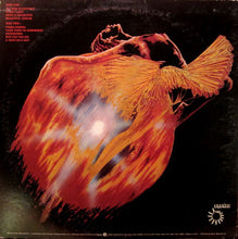 Load image into Gallery viewer, Uriah Heep : Return To Fantasy (LP, Album)