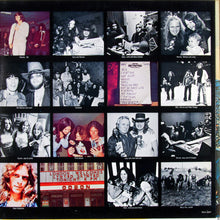 Load image into Gallery viewer, Lynyrd Skynyrd : Skynyrd&#39;s First And... Last (LP, Album, Pin)