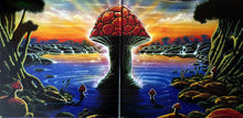 Load image into Gallery viewer, The Allman Brothers Band : Where It All Begins (2xLP, Album, Etch, Ltd, Num, RE, RP, Blu)