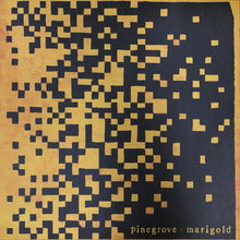 Load image into Gallery viewer, Pinegrove : Marigold (LP, Album, Ltd, Yel)