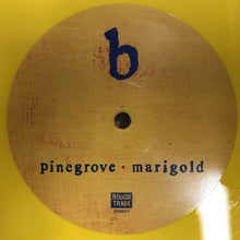 Load image into Gallery viewer, Pinegrove : Marigold (LP, Album, Ltd, Yel)