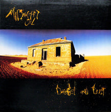 Load image into Gallery viewer, Midnight Oil : Diesel And Dust (LP, Album, Gat)