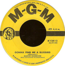 Load image into Gallery viewer, Marvin Rainwater : Gonna Find Me A Bluebird / So You Think You've Got Troubles (7")