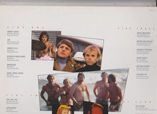 Load image into Gallery viewer, The Beach Boys : Made In U.S.A. (2xLP, Comp, Gat)