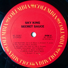 Load image into Gallery viewer, Sky King : Secret Sauce (LP)