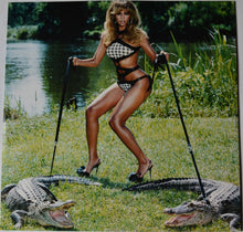 Load image into Gallery viewer, Beyoncé : B&#39;Day (2xLP, Album, 180)