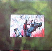 Load image into Gallery viewer, Richie Havens : Richard P. Havens 1983 (2xLP, Album, MGM)