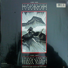 Load image into Gallery viewer, Andy Taylor : Thunder (LP, Album)