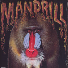 Load image into Gallery viewer, Mandrill : Mandrill (LP, Album, RE, Gat)