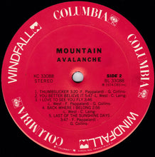 Load image into Gallery viewer, Mountain : Avalanche (LP, Album, Ter)