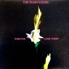 Load image into Gallery viewer, The Flesh Eaters : Forever Came Today (LP, Album)