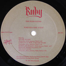 Load image into Gallery viewer, The Flesh Eaters : Forever Came Today (LP, Album)