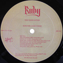 Load image into Gallery viewer, The Flesh Eaters : Forever Came Today (LP, Album)