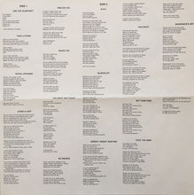 Load image into Gallery viewer, Stark Raving Mad : Amerika (12&quot;, Album)