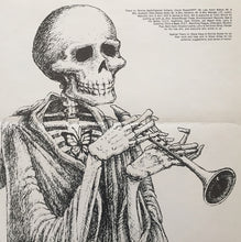 Load image into Gallery viewer, Stark Raving Mad : Amerika (12&quot;, Album)