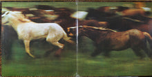Load image into Gallery viewer, Mason Proffit : Bareback Rider (LP, Album, Gat)