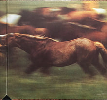 Load image into Gallery viewer, Mason Proffit : Bareback Rider (LP, Album, Gat)