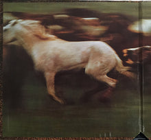 Load image into Gallery viewer, Mason Proffit : Bareback Rider (LP, Album, Gat)