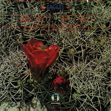 Load image into Gallery viewer, Eagles : Eagles (LP, Album, Pre)
