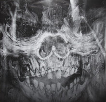 Load image into Gallery viewer, Cypress Hill : Stoned Raiders (2xLP, Album)