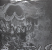 Load image into Gallery viewer, Cypress Hill : Stoned Raiders (2xLP, Album)