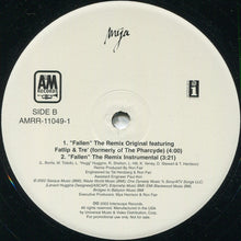 Load image into Gallery viewer, Mya : Fallen (12&quot;, Promo)