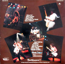 Load image into Gallery viewer, Grave Digger (2) : Witch Hunter (LP, Album)
