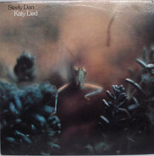 Load image into Gallery viewer, Steely Dan : Katy Lied (LP, Album, RE, Glo)