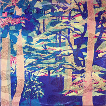Load image into Gallery viewer, Don Ellis : Haiku (LP, Album)