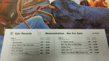 Load image into Gallery viewer, Nantucket : Nantucket (LP, Album, Promo)