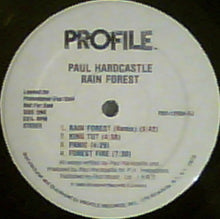 Load image into Gallery viewer, Paul Hardcastle : Rain Forest (LP, Album, Promo)