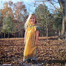 Load image into Gallery viewer, The Allman Brothers Band : Brothers And Sisters (LP, Album, Gat)