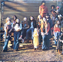 Load image into Gallery viewer, The Allman Brothers Band : Brothers And Sisters (LP, Album, Gat)