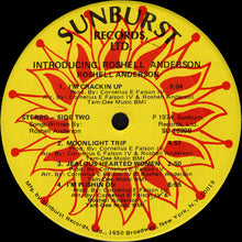 Load image into Gallery viewer, Roshell Anderson : Introducing (LP, Album)