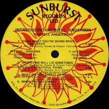 Load image into Gallery viewer, Roshell Anderson : Introducing (LP, Album)