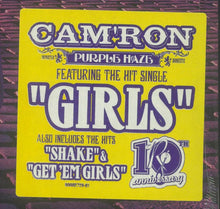 Load image into Gallery viewer, Cam&#39;ron : Purple Haze (2xLP, Album, Pur)